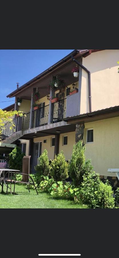 Vila Vlad Două Mai Εξωτερικό φωτογραφία